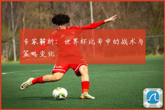 专家解析:世界杯比率中的战术与策略变化