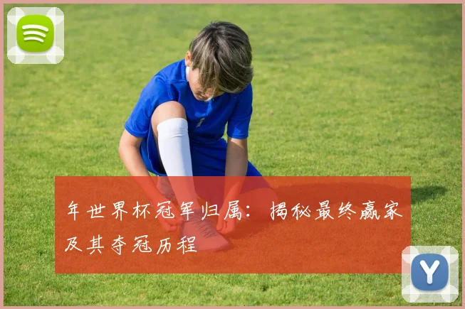 年世界杯冠军归属：揭秘最终赢家及其夺冠历程